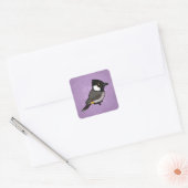 Sticker Carré Bulbul à oreilles blanches Birdorable (Enveloppe)