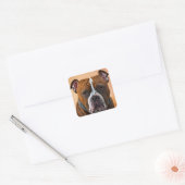 Sticker Carré Bull Dog (Enveloppe)