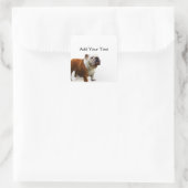 Sticker Carré Bulldog souriant (Sac)