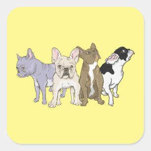 Sticker Carré Bulldogs français