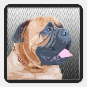 Sticker Carré Bullmastiff