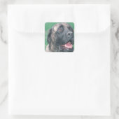 Sticker Carré Bullmastiff Brindle (Sac)