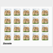 Sticker Carré Bunny rabbitt (Feuille)