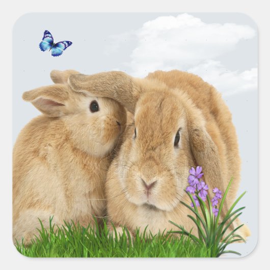 Sticker Carré Bunny rabbitt (Devant)