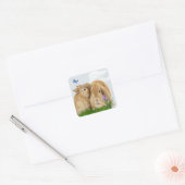 Sticker Carré Bunny rabbitt (Enveloppe)
