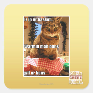 Sticker Carré Buns de mah Warmin