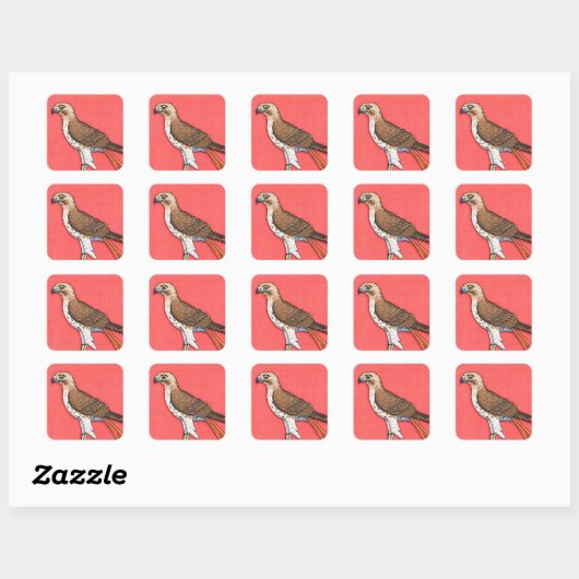 Sticker Carré Buse à queue rouge (Feuille)