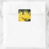 Sticker Carré Busy Bee (Sac)