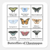 Sticker Carré Butterflies of Chautauqua (Devant)