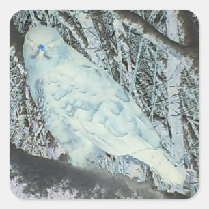 Sticker Carré Buzzard Effrayant sur Branche Halloween Animaux Sa