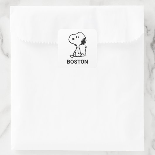 Sticker Carré cacahuètes | Tournages de snoopy (Sac)