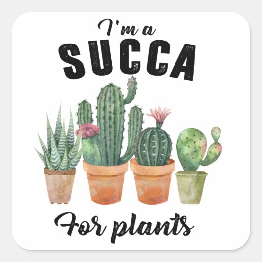 Sticker Carré Cactus cactus succulents plante (Devant)