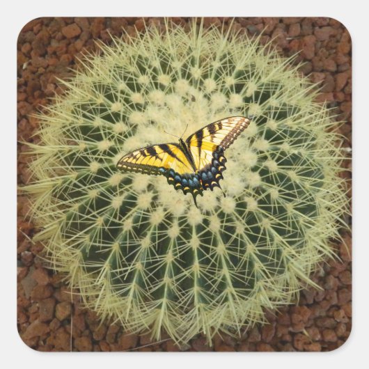 Sticker Carré Cactus et papillon (Devant)