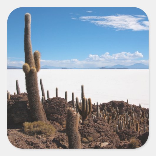 Sticker Carré Cactus géant à l'autocollant photo Salar de Uyuni (Devant)