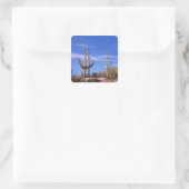 Sticker Carré Cactus géant multiarmé Saguaro, Saguaro (Sac)