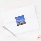 Sticker Carré Cactus géant Saguaro multi-bras, Saguaro (Enveloppe)