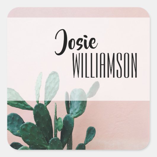 Sticker Carré Cactus rose moderne (Devant)