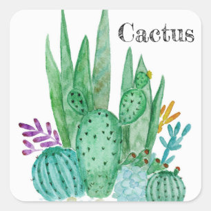 Sticker Carré Cactus watercolor cacti flowers floral desert illu