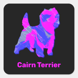Sticker Carré Cairn Terrier Chien rose et bleu chaud