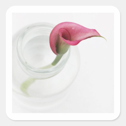 Sticker Carré Calla (Devant)