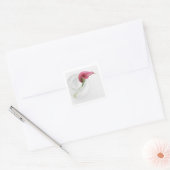 Sticker Carré Calla (Enveloppe)