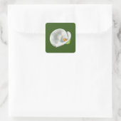 Sticker Carré Calla Lilly (Sac)
