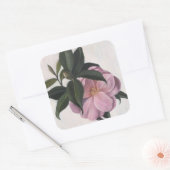Sticker Carré Camellia 1998 (Enveloppe)