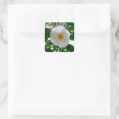 Sticker Carré Camellia blanche (Sac)
