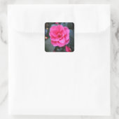 Sticker Carré Camellia rose (Sac)