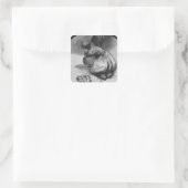 Sticker Carré Camels (Sac)