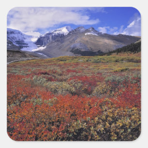 Sticker Carré Canada, Alberta, Parc national de Banff. Les airel