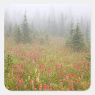 Sticker Carré Canada, Colombie-Britannique, Revelstoke National