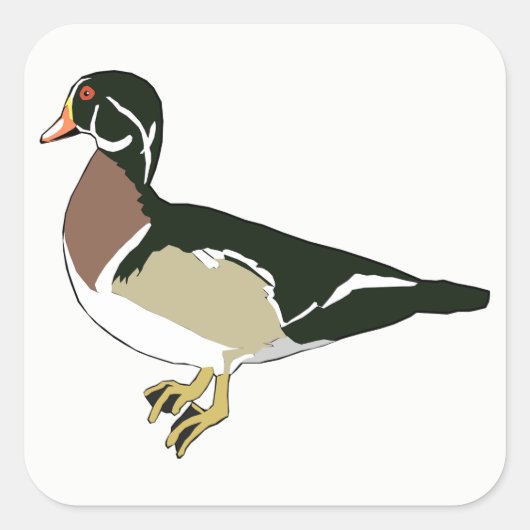 Sticker Carré Canard (Devant)