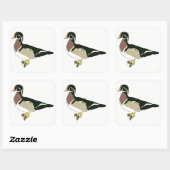 Sticker Carré Canard (Feuille)
