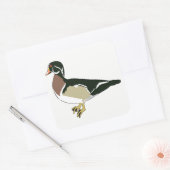 Sticker Carré Canard (Enveloppe)