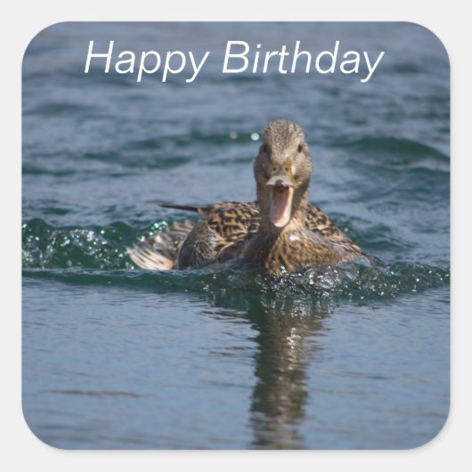 Sticker Carré Canard avec le bec ouvert (Devant)