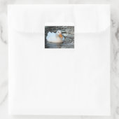 Sticker Carré Canard blanc nageant dans une crique (Sac)