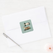 Sticker Carré Canards colverts (Enveloppe)