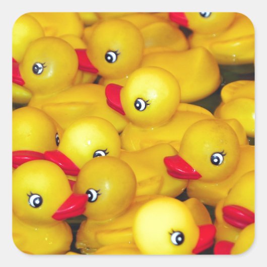 Sticker Carré Canards en caoutchouc jaune mignon (Devant)