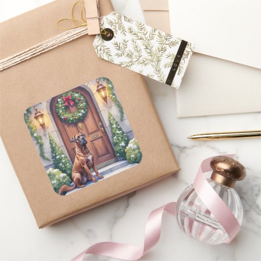 Sticker Carré Cane Corso Grand Door Evergreen Christmas Art (Cadeaux)