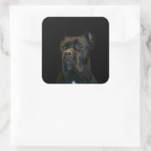 Sticker Carré Cane Corso - Mastiff italien (Sac)
