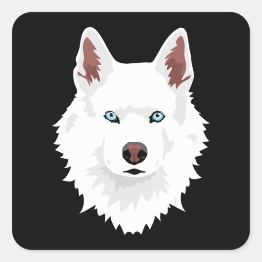 Sticker Carré Canine Husky Sibérienne Blanche - Chien Blanche (Devant)