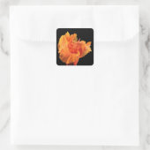 Sticker Carré Canne (Sac)