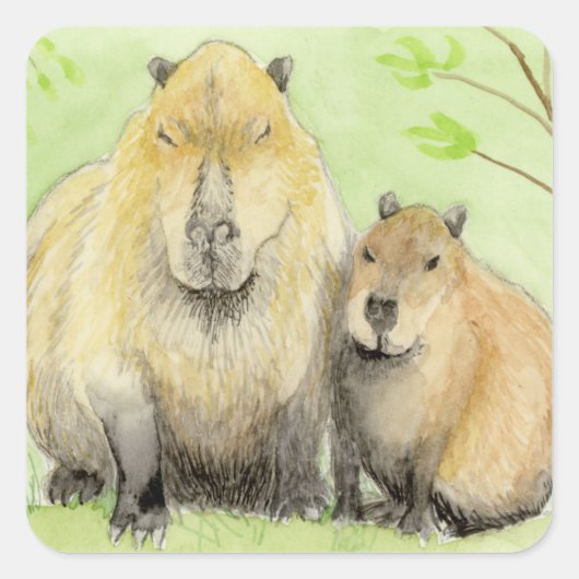 Sticker Carré Capybara (Devant)