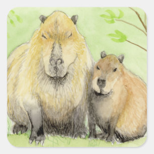 Sticker Carré Capybara