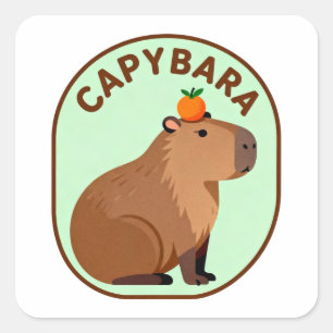 Sticker Carré Capybara mignon avec orange sur la tête, animal dr