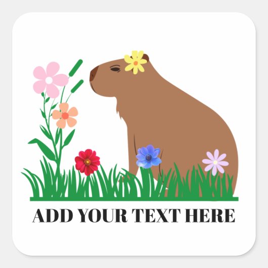 Sticker Carré Capybara Mignon Et Fleurs (Devant)