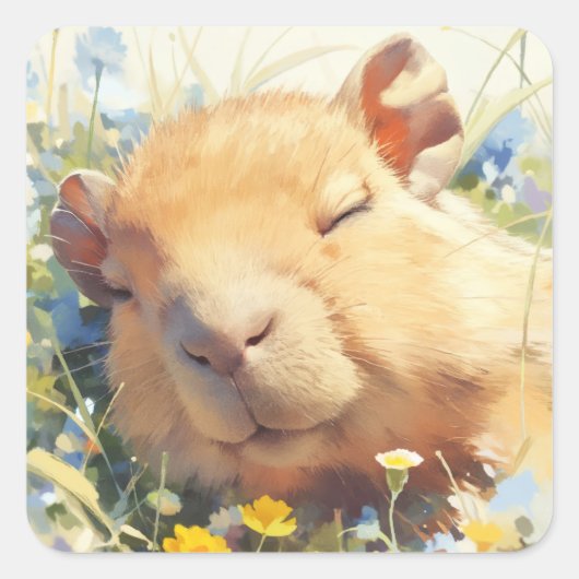 Sticker Carré Capybara Sieste Paisible (Devant)