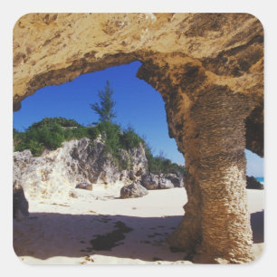 Sticker Carré Caraïbes, Bermudes, Tucker's Town. Nature