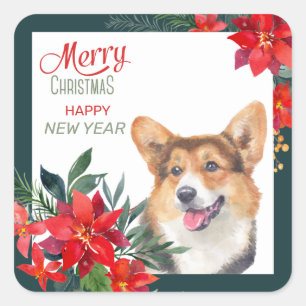Sticker Carré Cardigan Welsh Corgi Poinsettia Bouquet Noël